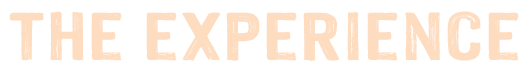 The_Experience_Header